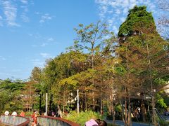 -四海公园(南山区)