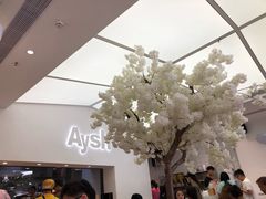 -艾薯夫妇Aysh(福田星河COCOPark店)