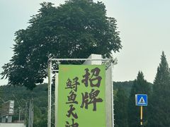 -向外鱼乐·土菜·虹鳟鱼