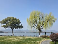 -杭州西湖柳莺里酒店