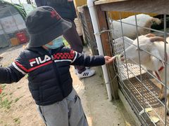 -前小桔亲子创意农场·草莓采摘·露营烧烤