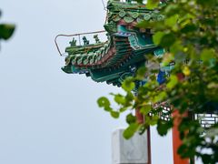 -北京西山国家森林公园