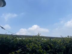 -紫峰大厦