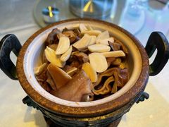 -唐猫庭院·千年陕菜(赛格国际购物中心店)