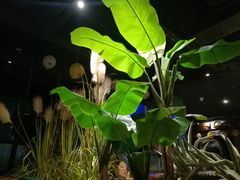 -V-ONE西雅图海鲜自助餐厅(仓山万达广场店)