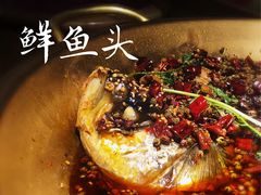 -同蛙阁美蛙鱼头火锅