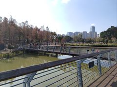-牛岗山公园