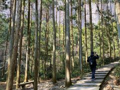 -雁荡山风景名胜区