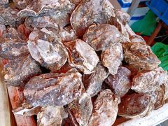 -芦潮港集贸市场