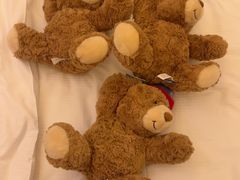 -舟山希尔顿酒店