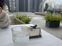 -一棵树·意大利西餐厅One Tree(新城店)