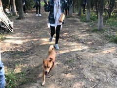 -亲兄弟真人CS团建拓展基地