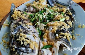 Steamed Bighead Fish with Ginger Paste