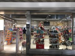 -谢列梅捷沃国际机场