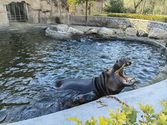 -沈阳森林动物园