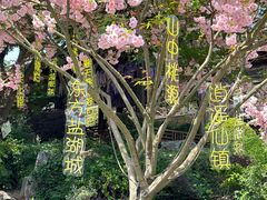 -茅山东方盐湖城景区