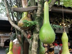 -青城甲(青城山店)