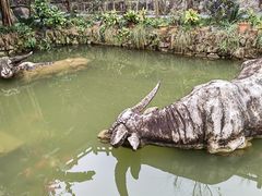 -燊海井