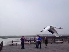 -南大港湿地风景区