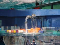 -威海华夏城景区