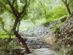 -北京鹫峰国家森林公园