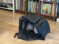 -瑞鹏宠物医院·普外科·影像科·皮肤科(城市山谷分院)