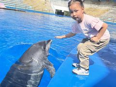 -北戴河圣蓝海洋公园