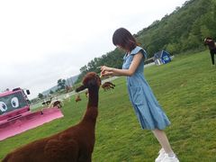 -大连铭湖国际观光牧场