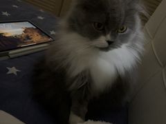 -贝利宠物医院·骨科·眼科·肿瘤转诊中心(南坪诊疗中心)