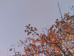 -黑龙江大学