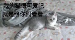 -奈瑞儿美颜美养SPA