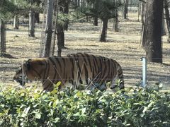 -秦皇岛野生动物园
