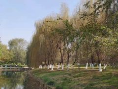 -长白岛森林公园