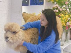 -Blue Concept Cafe&Farm·關於藍