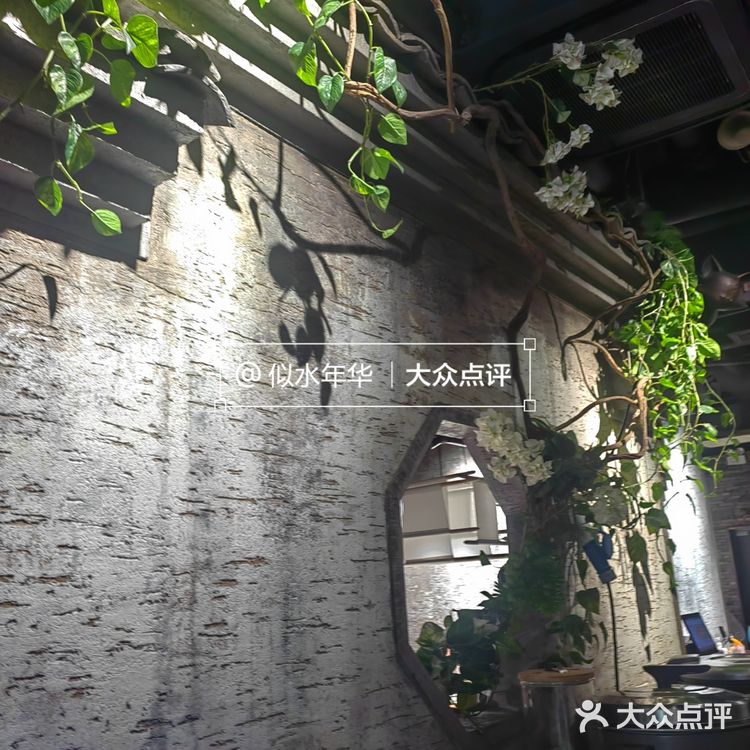 佬肥猫的这新菜是真的又油又咸啊