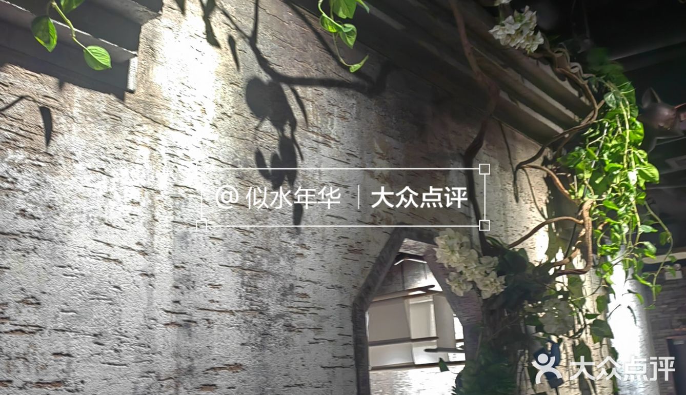 佬肥猫的这新菜是真的又油又咸啊