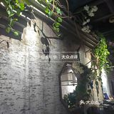 佬肥猫的这新菜是真的又油又咸啊