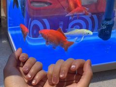 -海底捞火锅(武胜路凯德广场店)