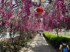 -张公山寨景区