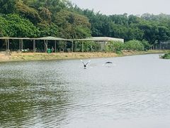 -李小龙乐园(顺德均安店)