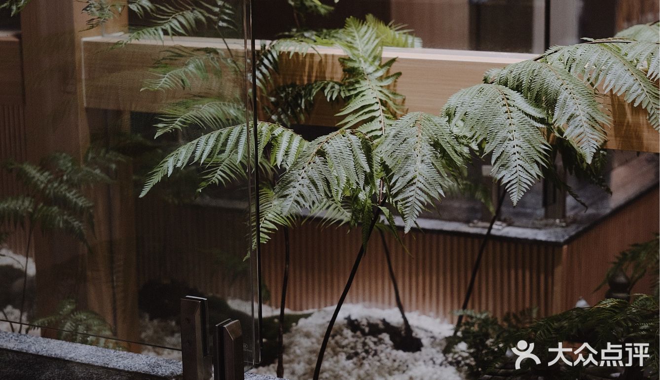 顺德探店丨我要实名吹🌬爆这个🍣日料店