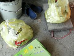 -马陆小张葡萄园农家乐