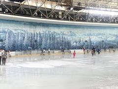 -世界之窗阿尔卑斯冰雪世界