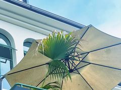 -杭州西湖风景名胜区-满觉陇四眼井