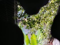 -李鸿章故居