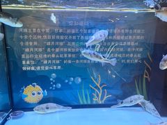 -肆月河豚·淮扬菜·湘菜(华天店)