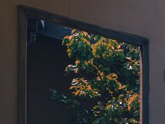-洨河生态公园
