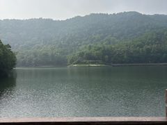 -桃花岭景区