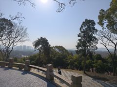 -无锡梅园公园