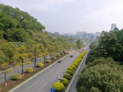 -玉树公园